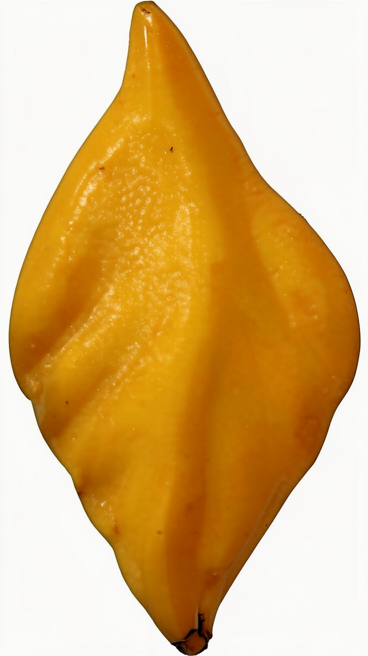 2062 - Cad. Sarısı 1kg - Görsel 1