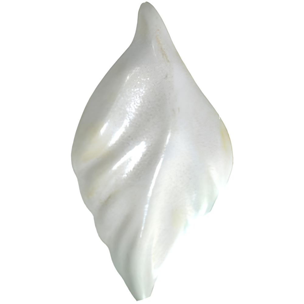 246 - İnci 250g - Görsel 1