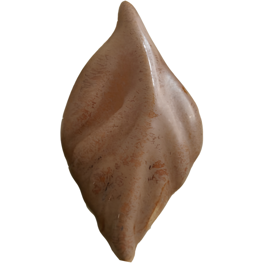 273 - Efektli Badem 1kg - Görsel 1