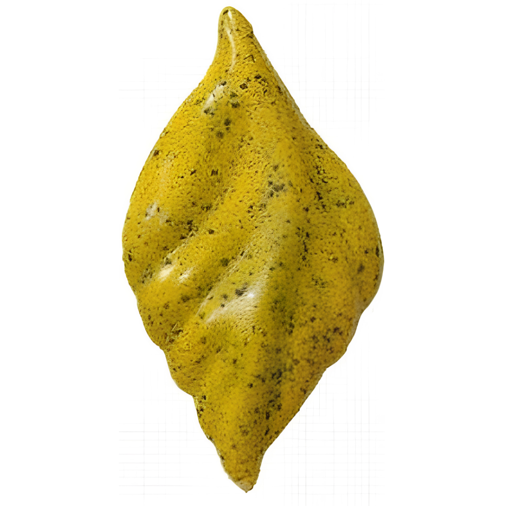 4025 - Benekli Sarı
