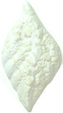 7031 - Kb. Beyaz Krakle
