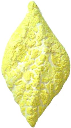 7032 - Kb. Sarı Krakle