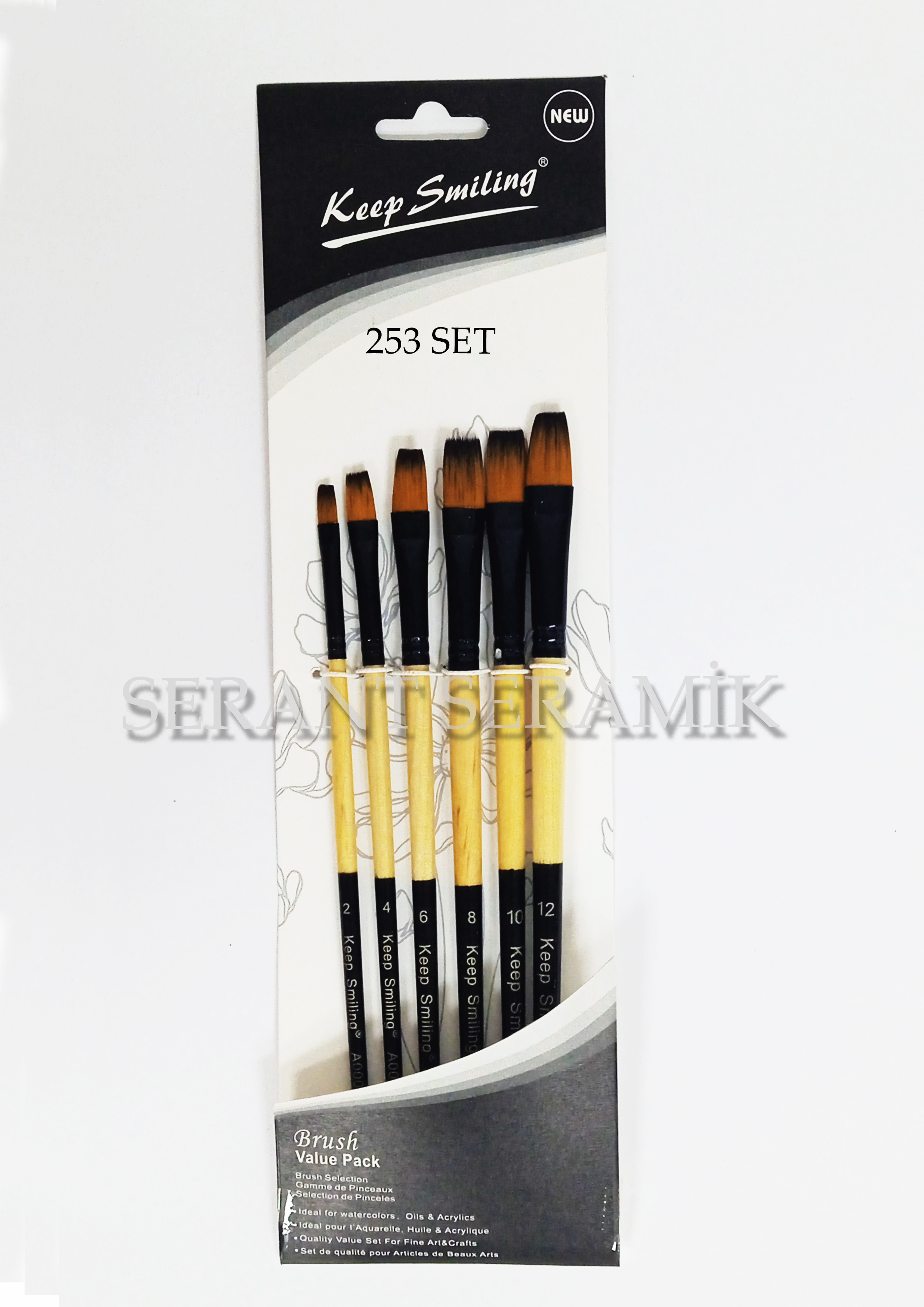 99253 Fırça Seti